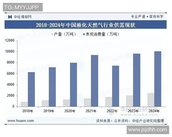 专业解析LNG市场转换策略及其对能源行业的影响分析