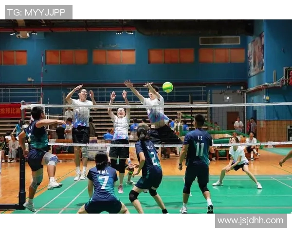 广州排球队实力分析与未来发展潜力的深度探讨