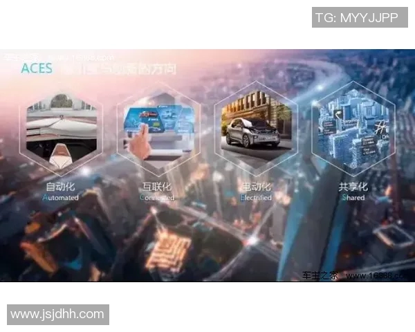 深圳极限运动队的攻防分析与未来发展展望