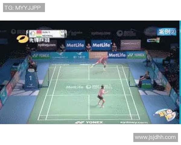 深入分析北京羽毛球队的整体压制战术及其在比赛中的应用效果