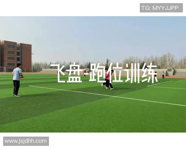 飞盘战术揭秘：杭州飞盘队如何构建坚固防线与团队协作