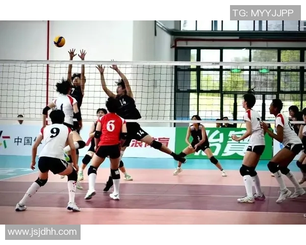 上海排球队防反战术解析与深度剖析排球竞技的魅力与挑战