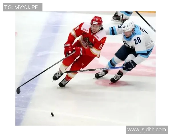 北京排球队阵地战体系解析及战术策略探讨