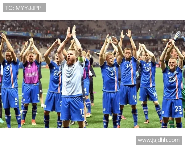 法国对冰岛足球比赛直播观看方式及相关信息汇总