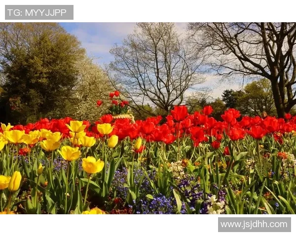 北爱尔兰与瑞士旅游攻略探秘自然风光与人文魅力